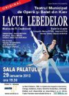 Detalii despre Lacul Lebedelor 29 Ian 2012