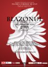 Detalii despre Blazonul - 11 Feb 2012
