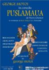 Detalii despre Puslamaua 28 Mai 2012