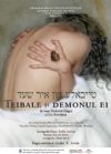 Detalii despre evenimentul Teibale si demonul ei - 22 Mai 2013