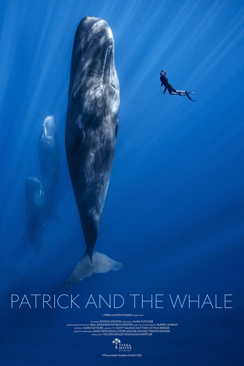bilete Patrick and the Whale