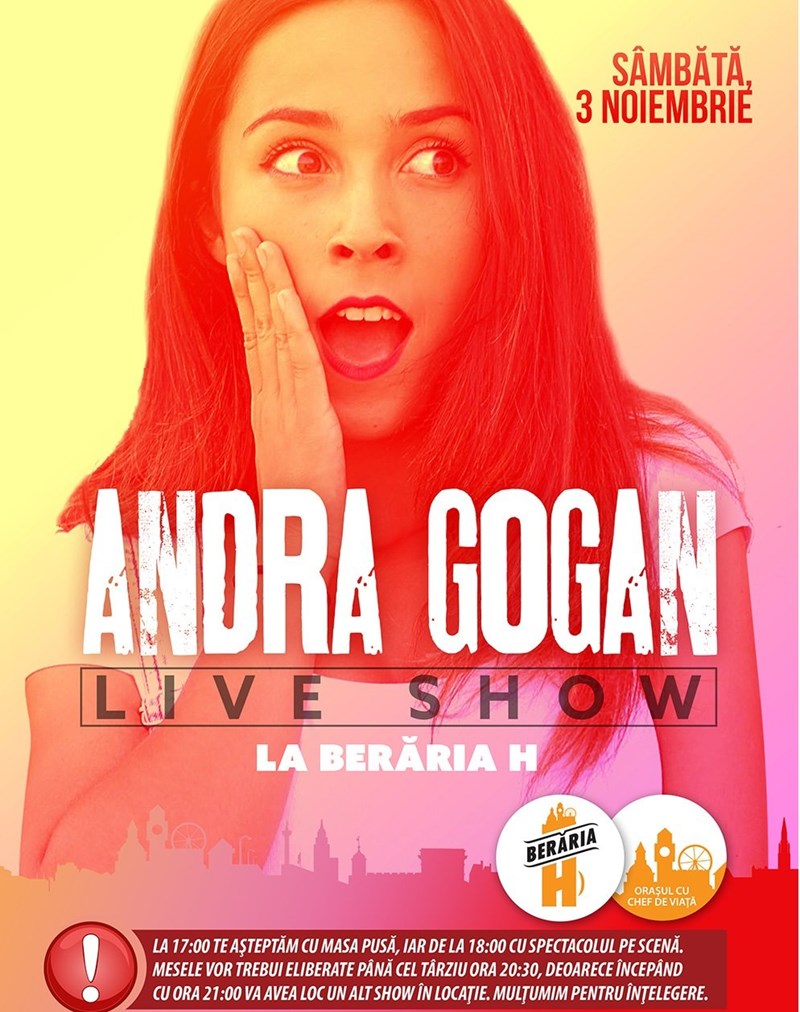 Concert Andra Gogan