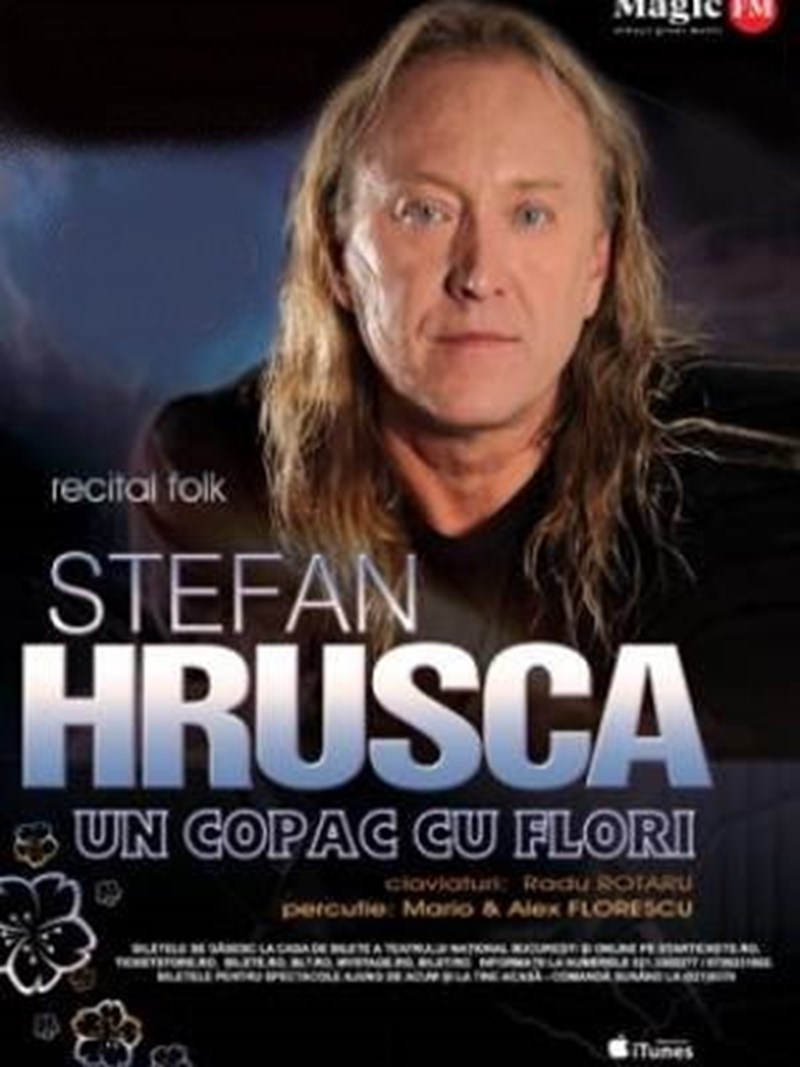 bilete Stefan Hrusca