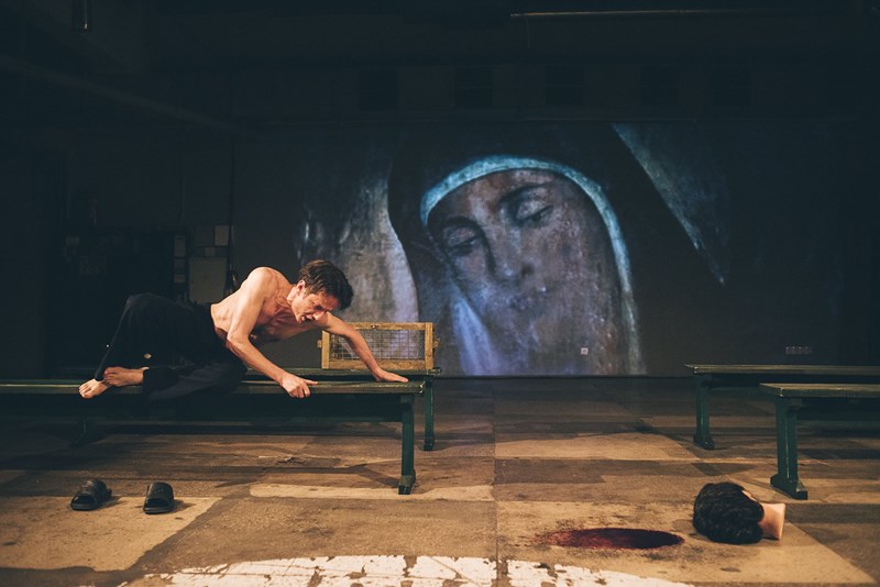 bilete Shakespeare pentru Ana