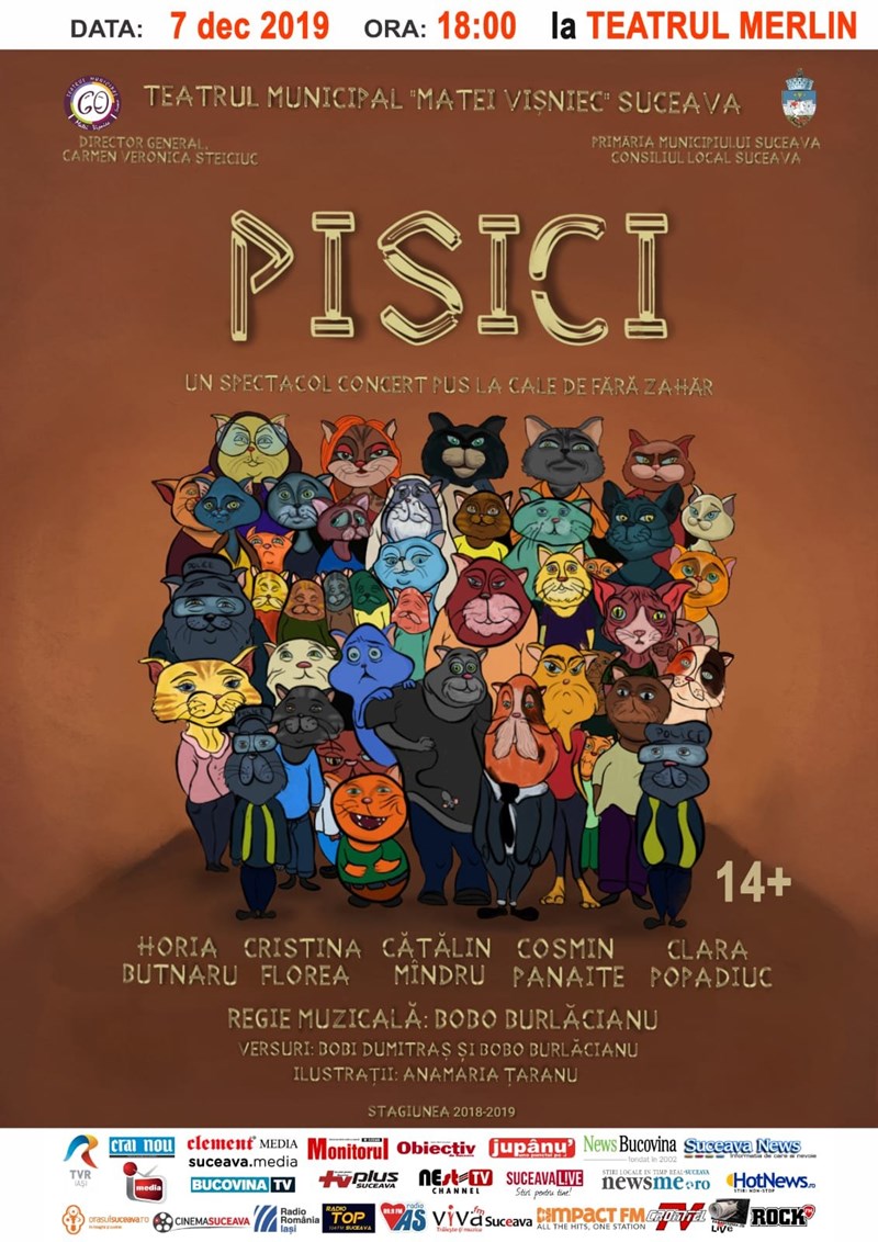 bilete Pisici