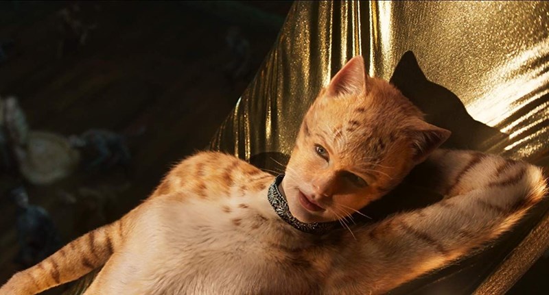 bilete CATS