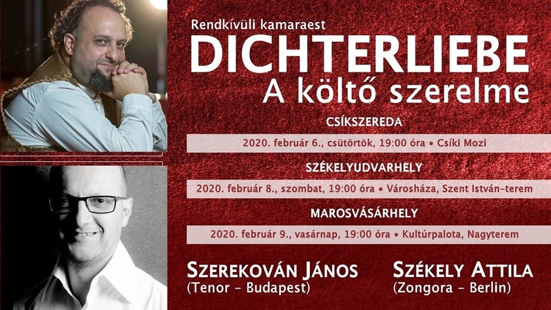 bilete Dichterliebe - A költő szerelme