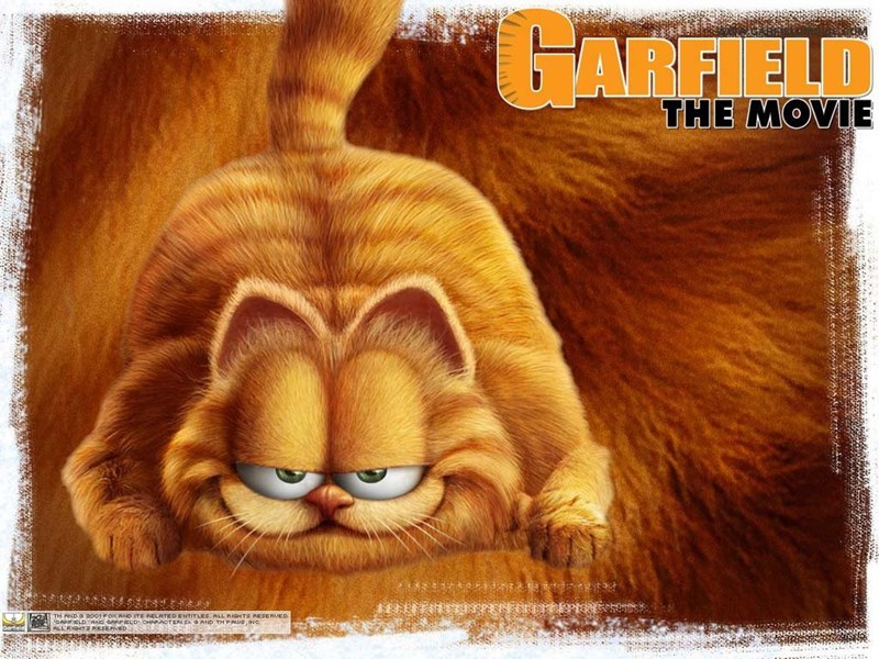 bilete Garfield - Film