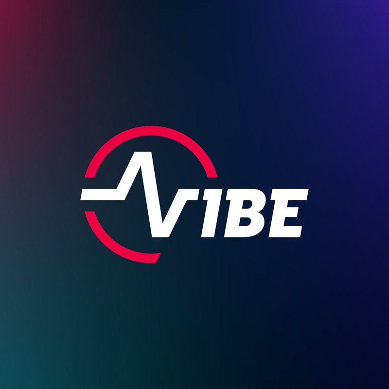 bilete VIBE Festival - Day 2