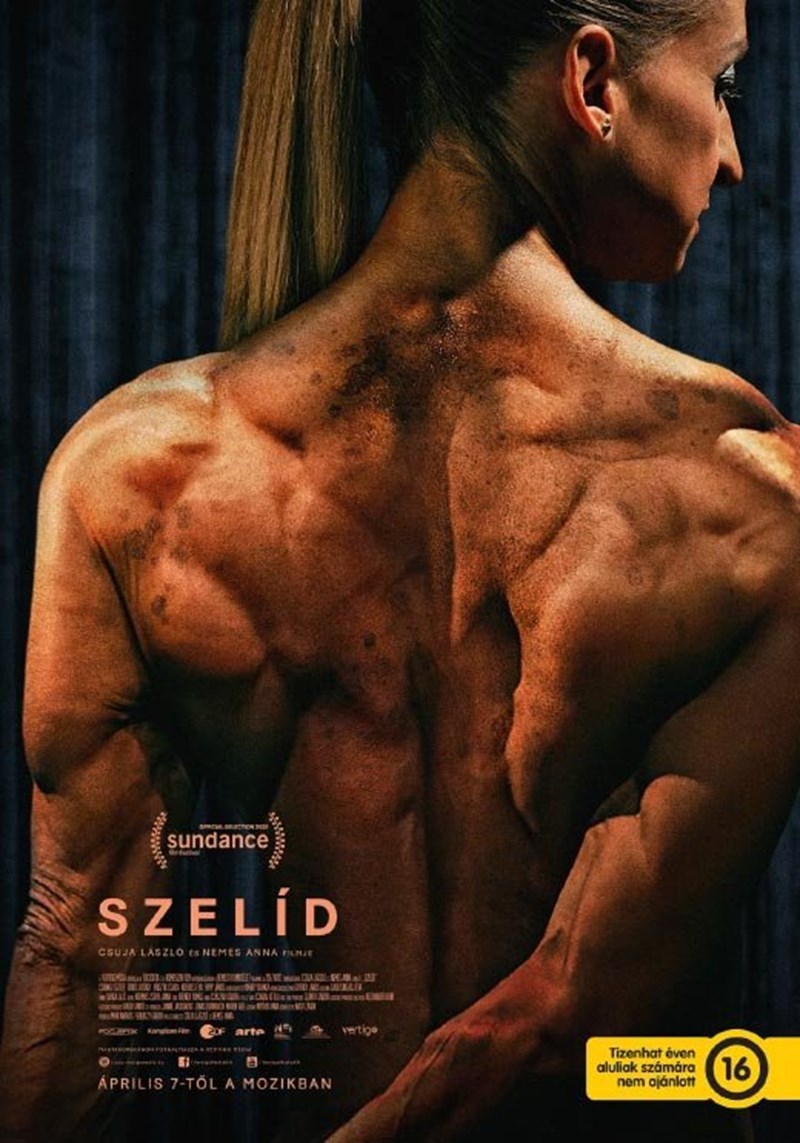 bilete Szelid