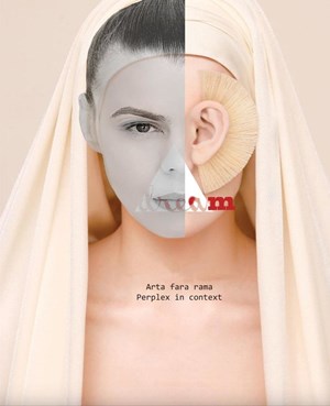 Arta fara rama - Perplex in context