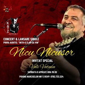 Nicu Nicusor | Concert & Lansare Single