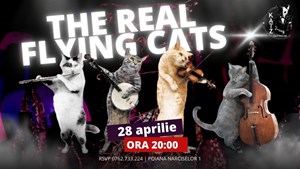 The Real Flying Cats