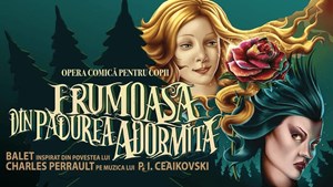 Frumoasa din Padurea Adormita