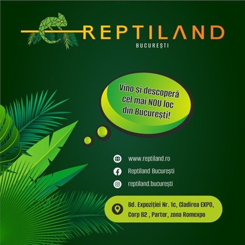 bilete Reptiland Bucuresti