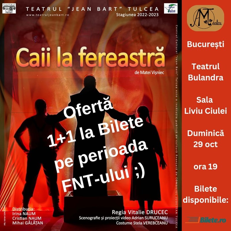 bilete Caii la fereastra