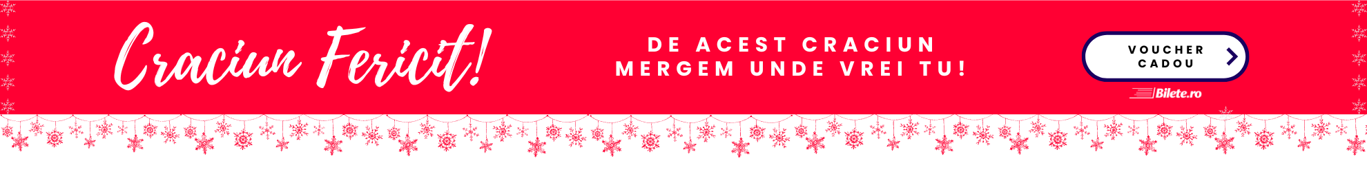 Voucher Craciun