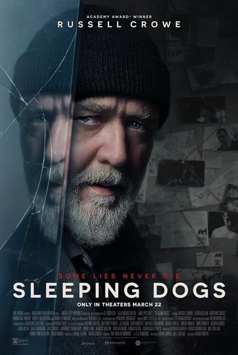 bilete Sleeping Dogs