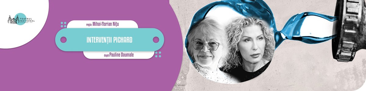 bilete INTERVENȚII PICHARD