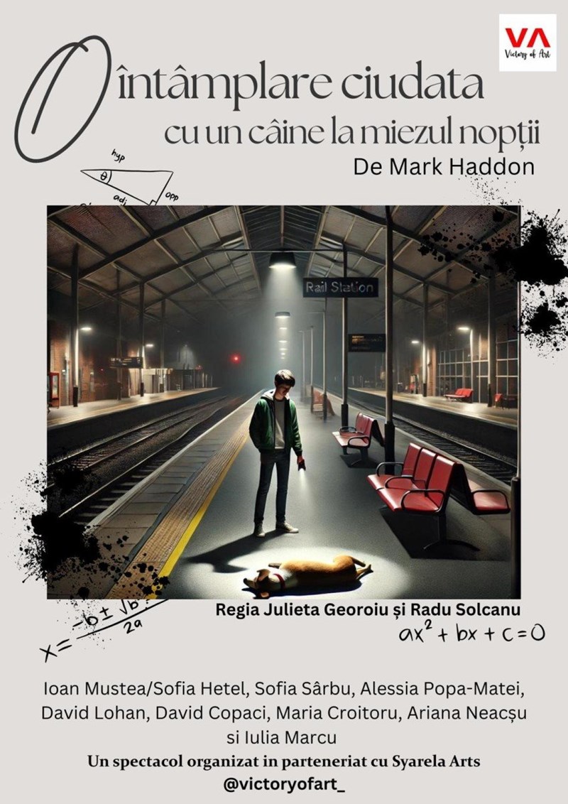 bilete O intamplare ciudata cu un caine la miezul noptii