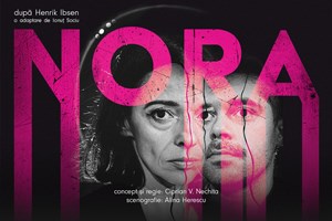 bilete la NORA