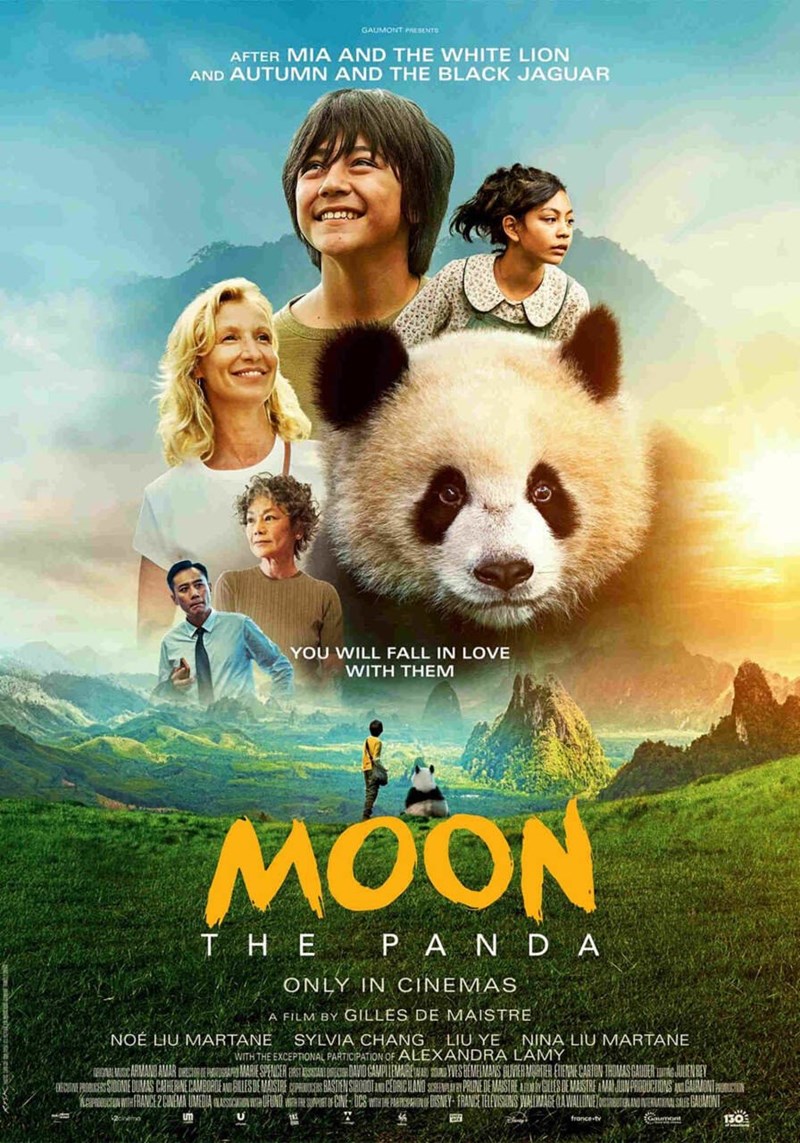 bilete Moon the Panda