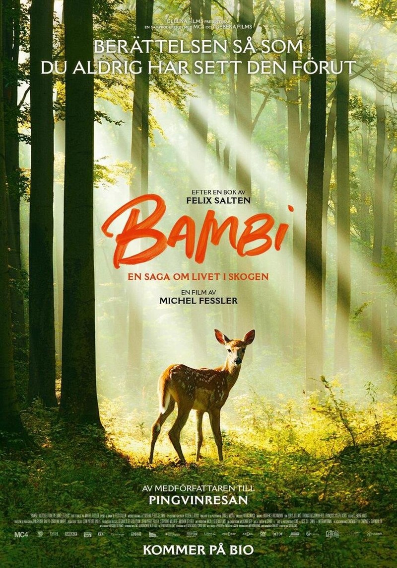 bilete Bambi