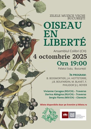 Ansamblul COLIBRI - Oiseau en Liberte