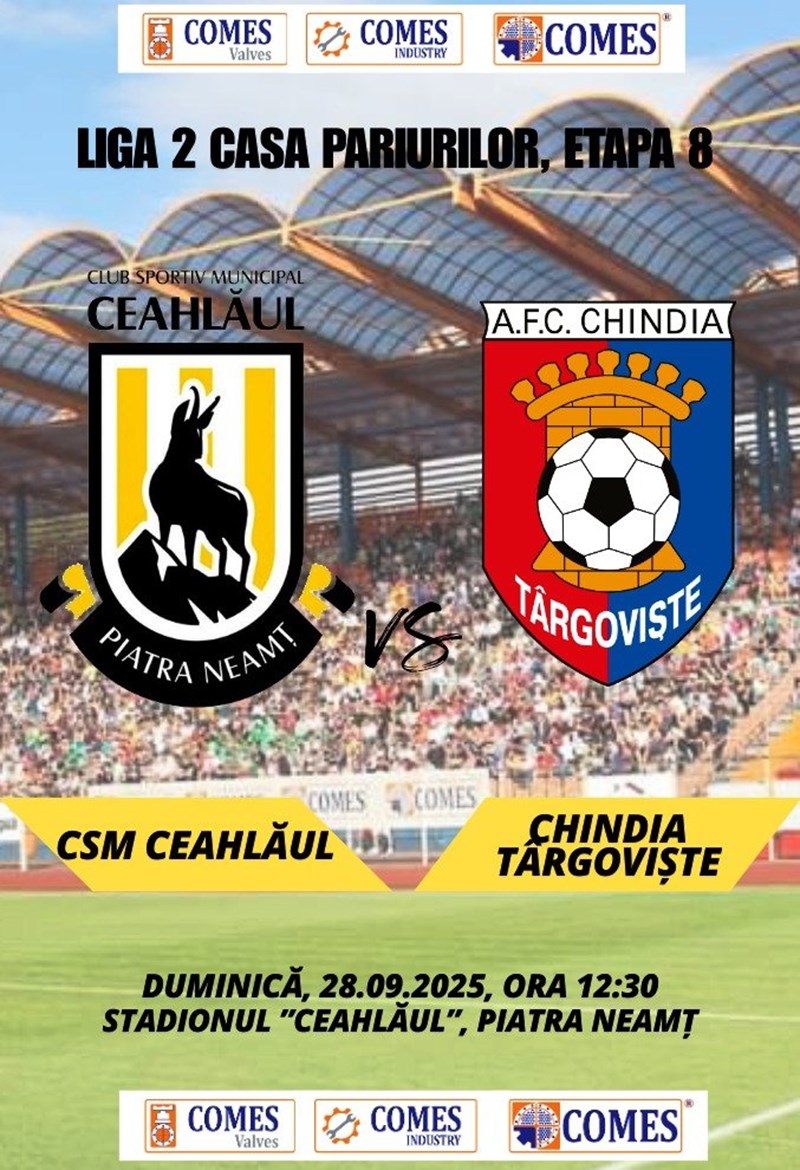bilete ACSM Ceahlaul Piatra Neamt - AFC Chindia Targoviste
