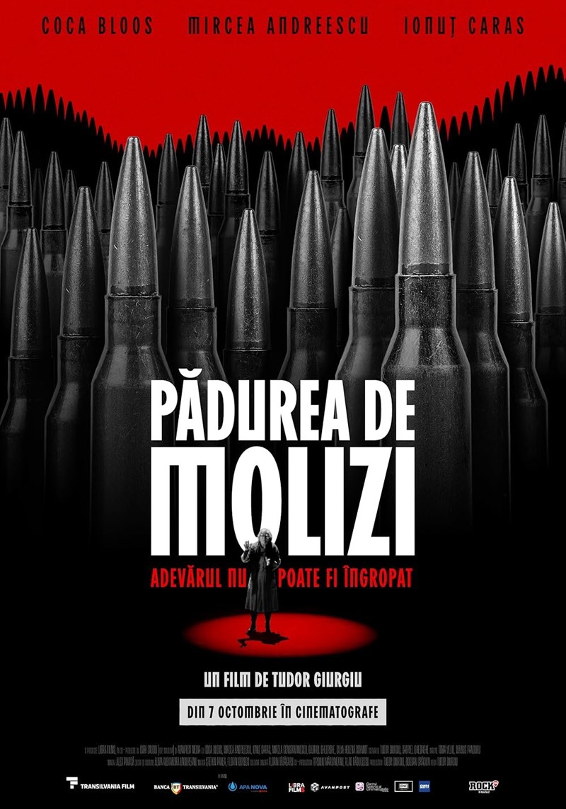 bilete Pădurea de molizi