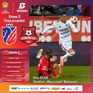 FC Botosani - FC Hermannstadt