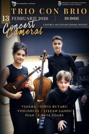 Trio Con Brio - Concert Cameral