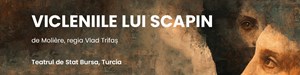 VICLENIILE LUI SCAPIN