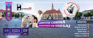 Napoca Dog Show
