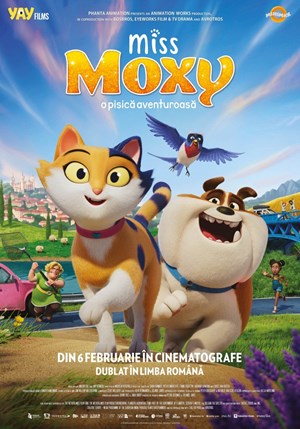 Miss Moxy