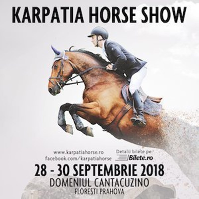 bilete Bubu si fulgii de nea