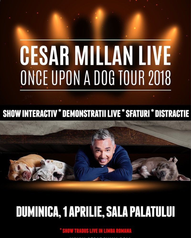 bilete Cesar Millan Live - Once Upon a Dog
